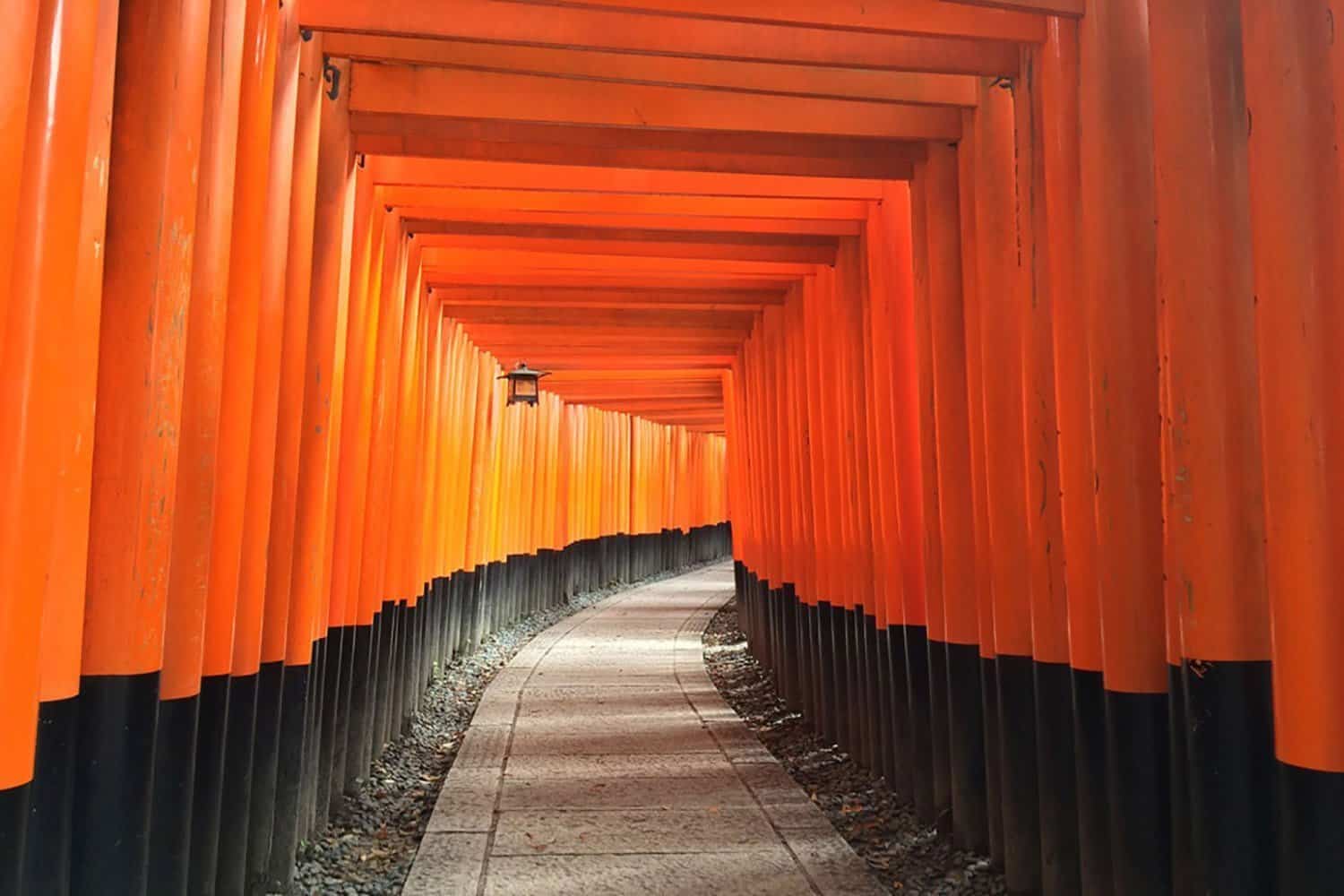 Highlights of Japan Tour