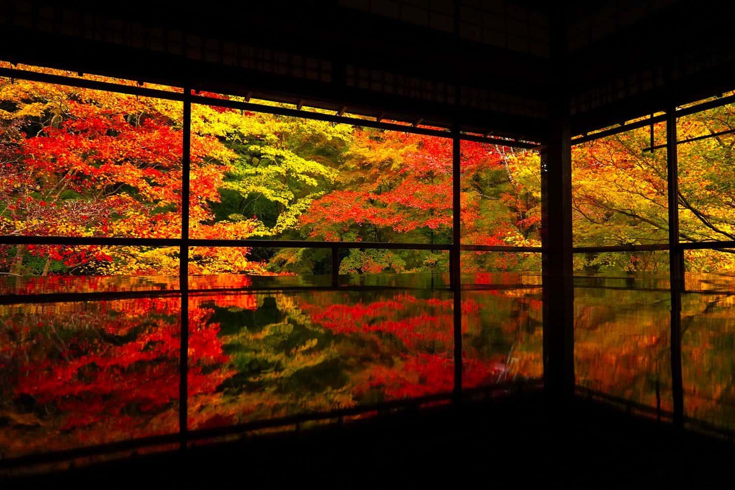 Japan Autumn Leaves Tour